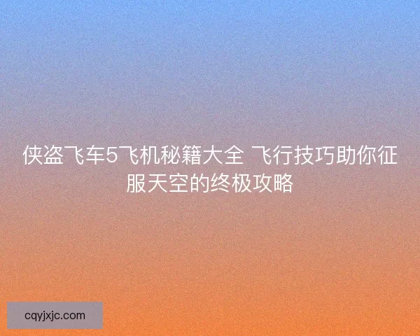 侠盗飞车5飞机秘籍大全 飞行技巧助你征服天空的终极攻略